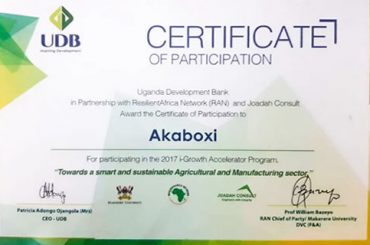 Uganda Development Bank(UDB) Awards